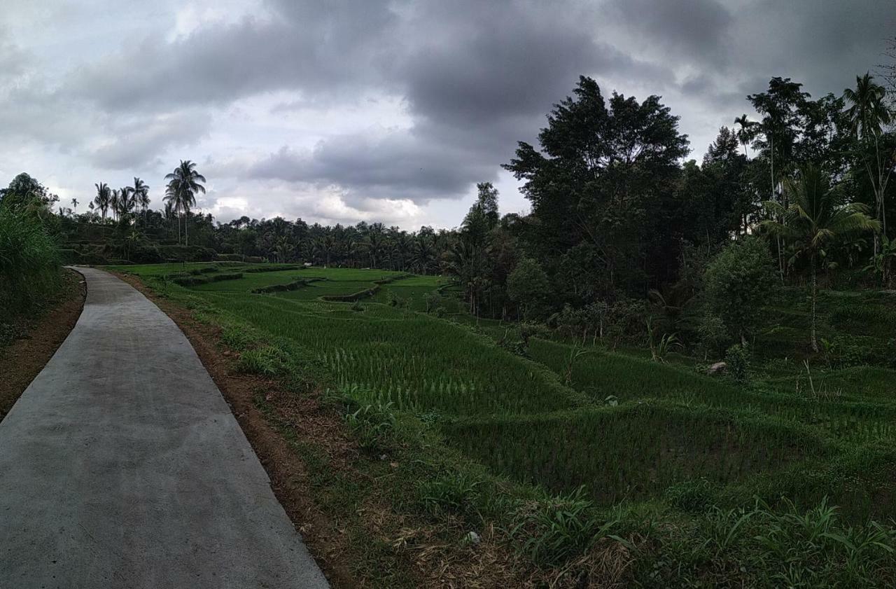 Bale Kembang Kuning Lägenhet Tetebatu Exteriör bild