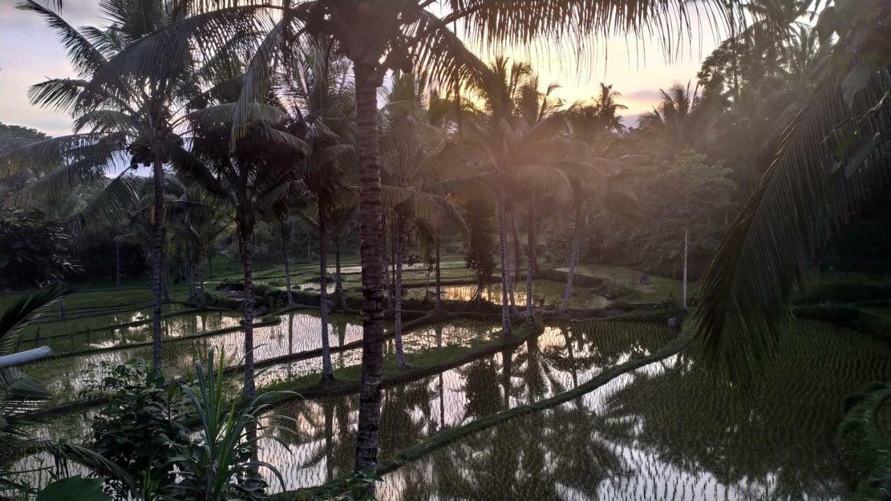 Bale Kembang Kuning Lägenhet Tetebatu Exteriör bild