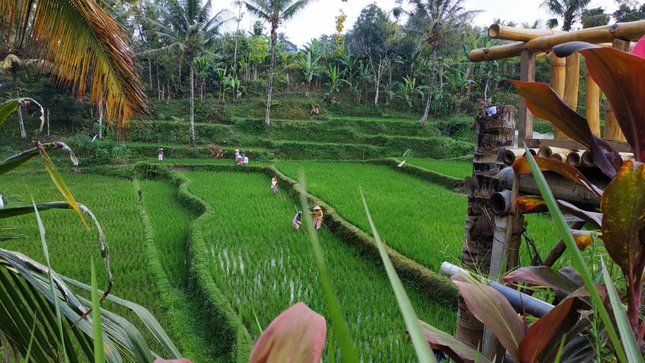 Bale Kembang Kuning Lägenhet Tetebatu Exteriör bild
