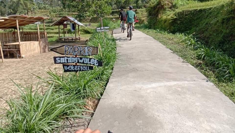 Bale Kembang Kuning Lägenhet Tetebatu Exteriör bild