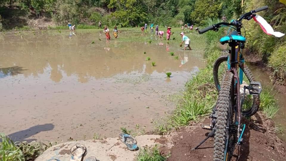 Bale Kembang Kuning Lägenhet Tetebatu Exteriör bild